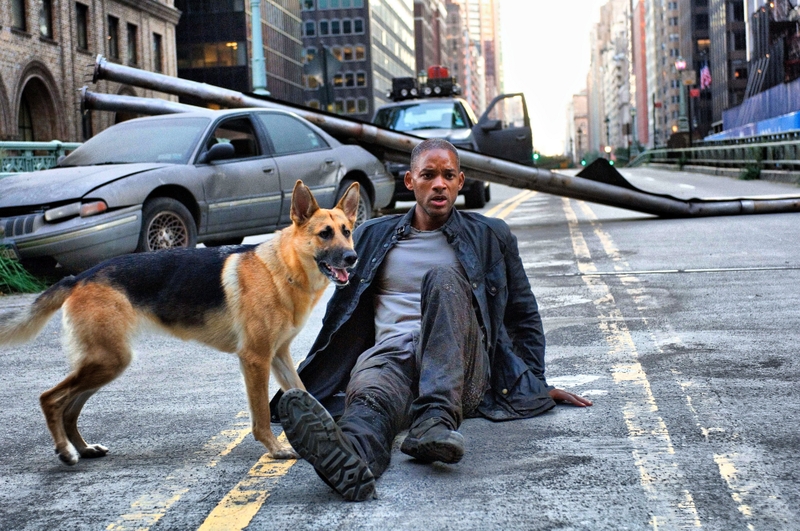 movies dogs people actors will smith i am legend 4000x2657 wallpaper movies dogs people actors will smith i am legend 4000x2657 wallpaper